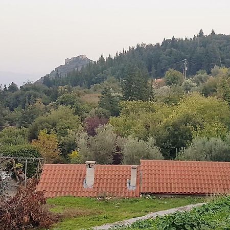 Affittacamere Luxury House In The Hills Sparta Esterno foto